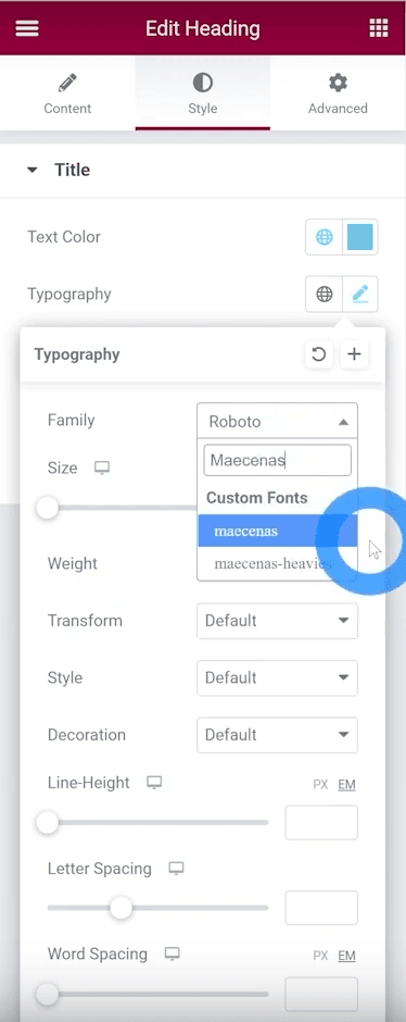 How to Use Adobe Fonts in WordPress for FREE? adobe fonts loaded