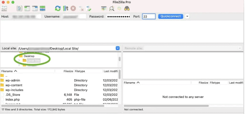 How to Migrate WordPress Site Local to Live Server Website Domain