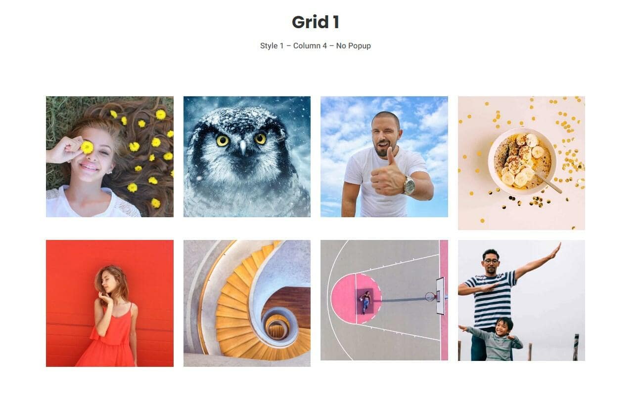 6 Best Photo Image Gallery WordPress Plugins