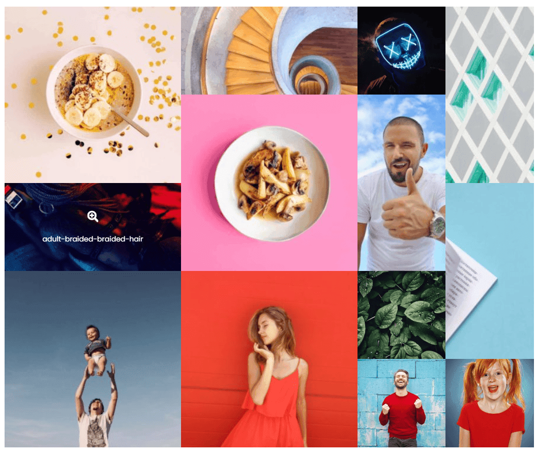 6 Best Photo Image Gallery WordPress Plugins