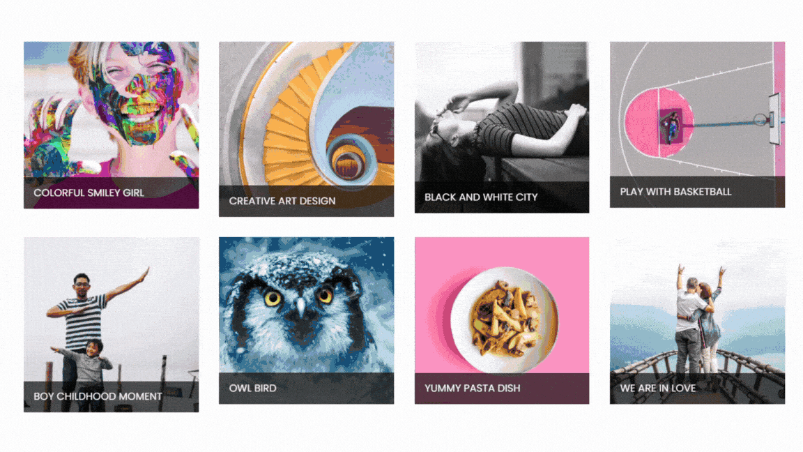 6 Best Photo Image Gallery WordPress Plugins