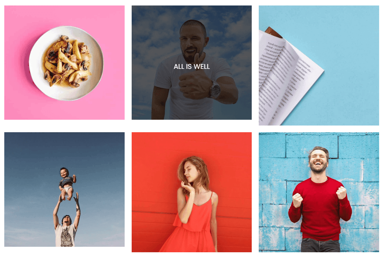 6 Best Photo Image Gallery WordPress Plugins