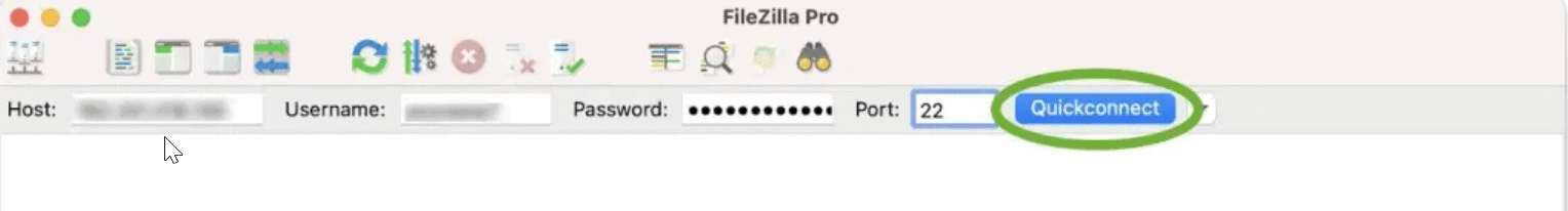 How to Migrate WordPress Site Local to Live Server Website Domain