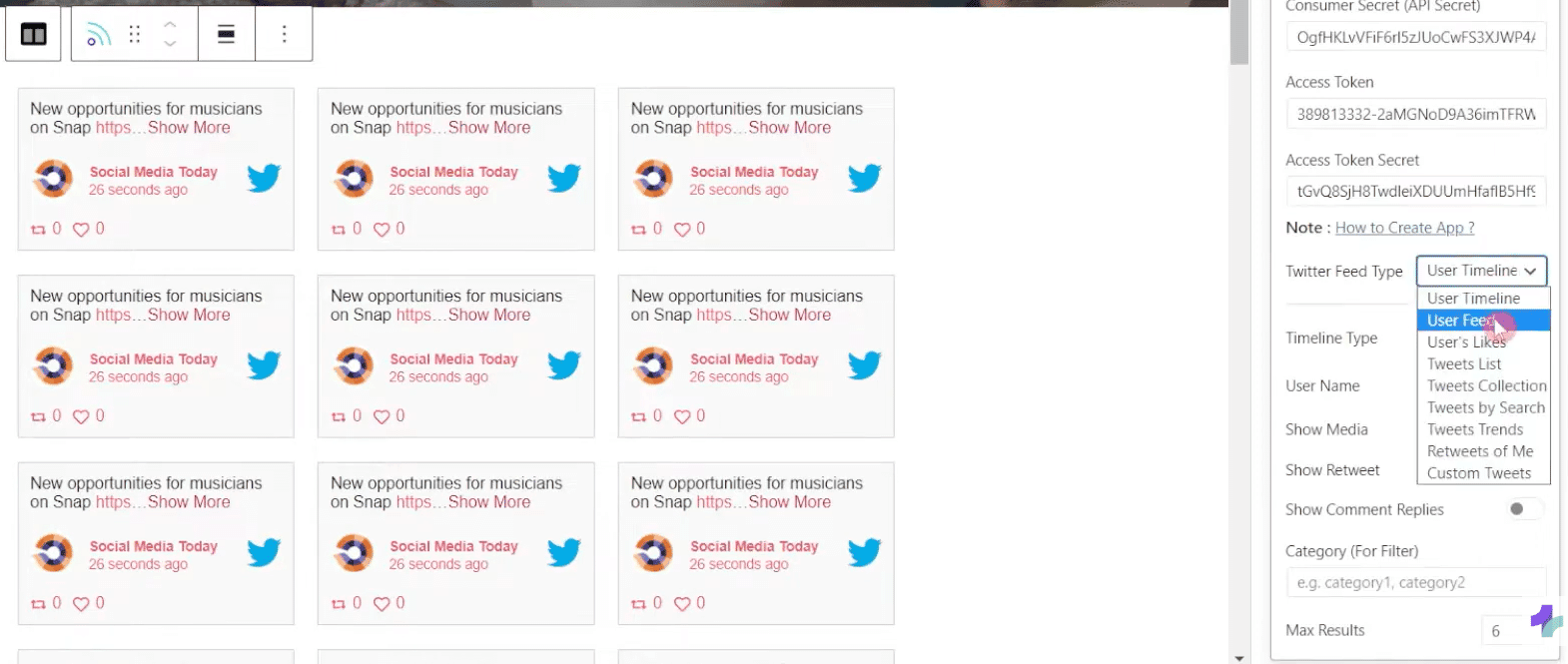 Twitter feed type options in the Nexter Blocks WordPress plugin