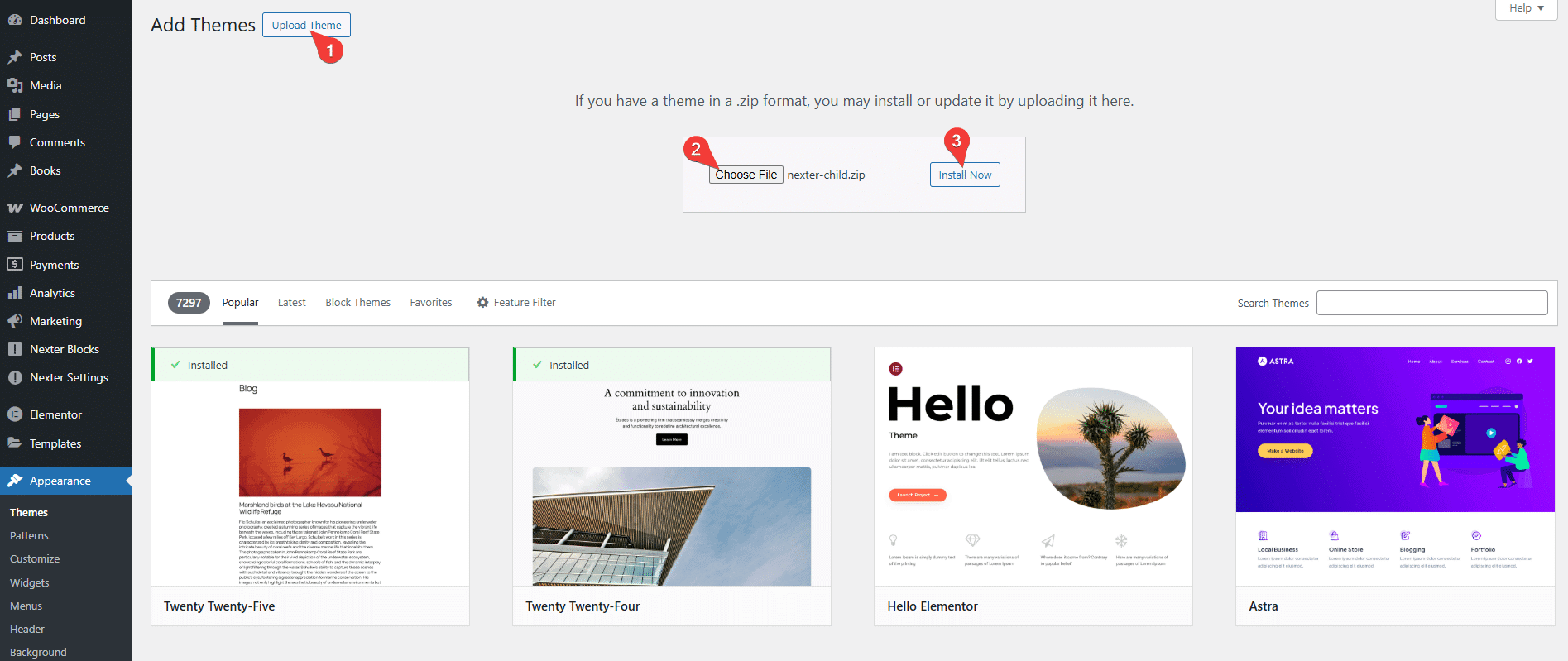 How to Create WordPress Child Theme for Nexter? [3 Ways]