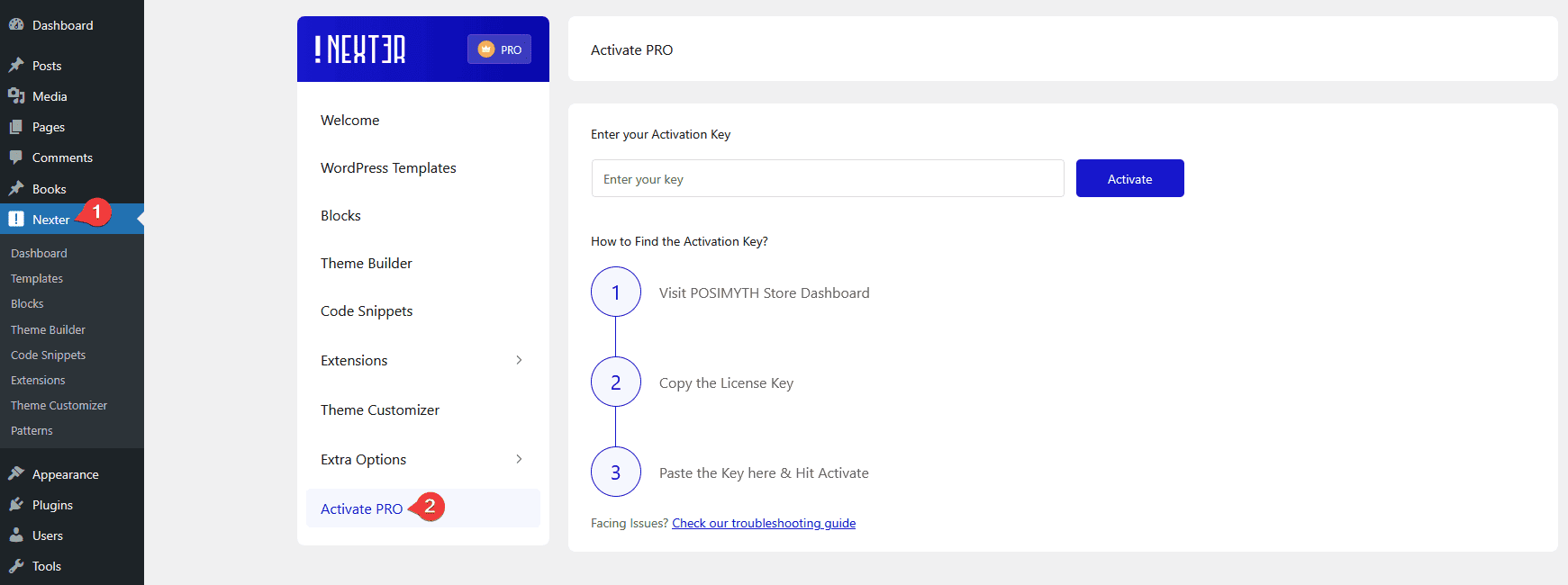 How to Use Nexter Extension With Any WordPress Theme?