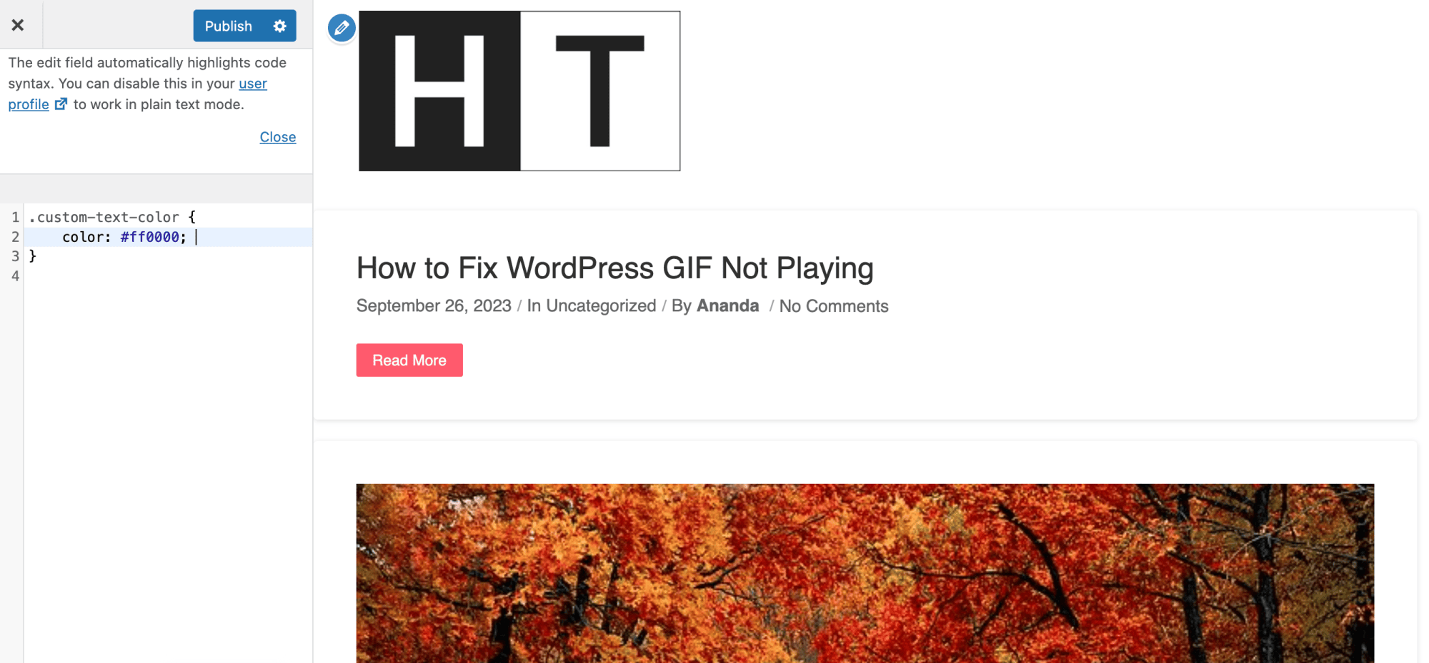 How to Change Font Text Color in WordPress (Without Plugins)