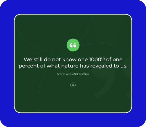 Blockquotes with Multi Social Sharing Icons