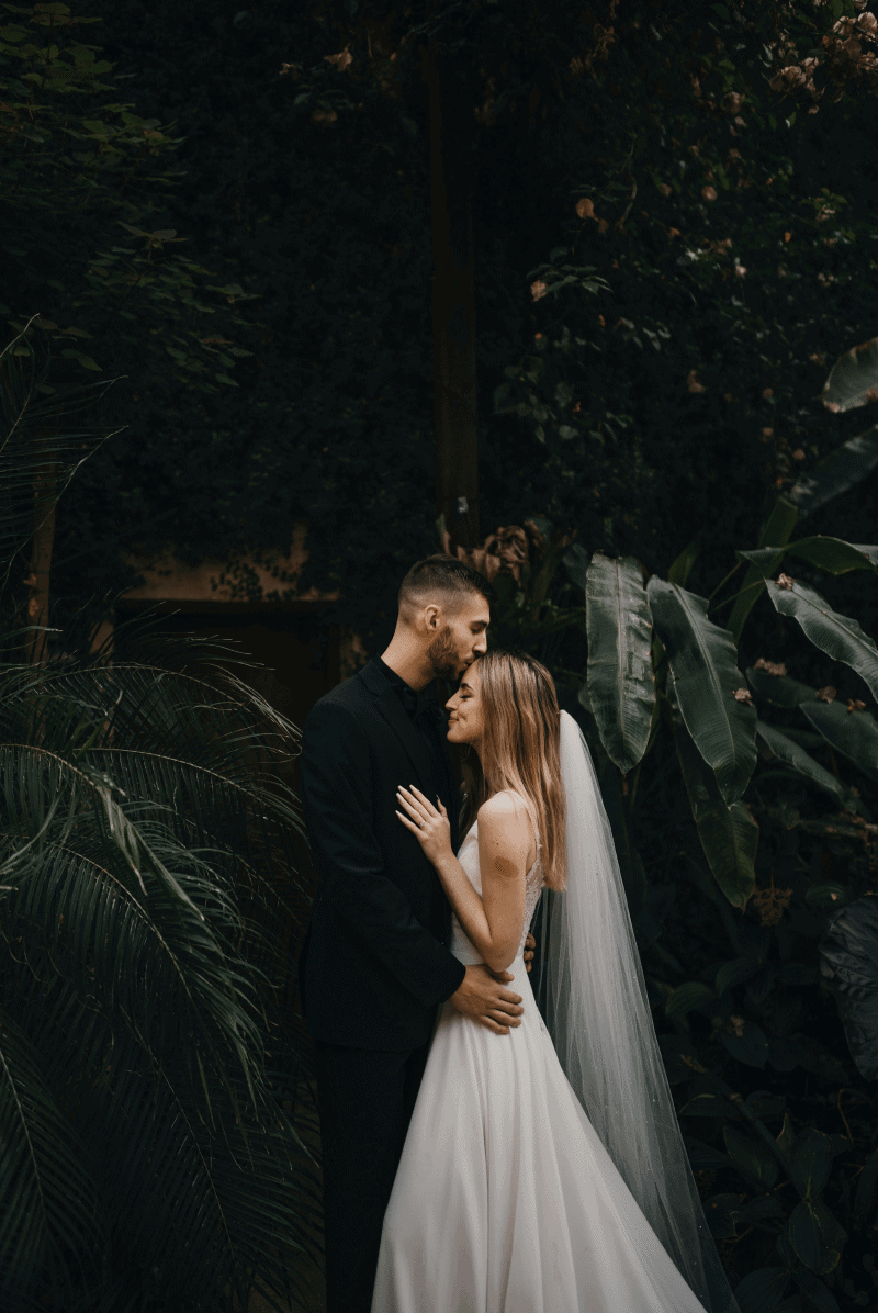 vadim-paripa-tEFItLGn0uc-unsplash