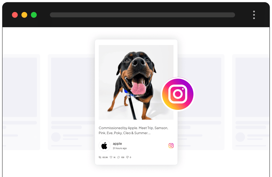 Social Feed Block For WordPress