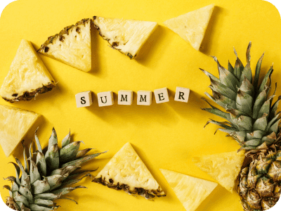 Horizontal Mega Menu Block For WordPress summer