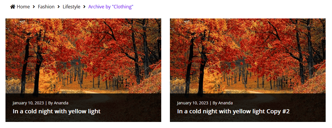 How to Add Breadcrumbs to WordPress Category Page?