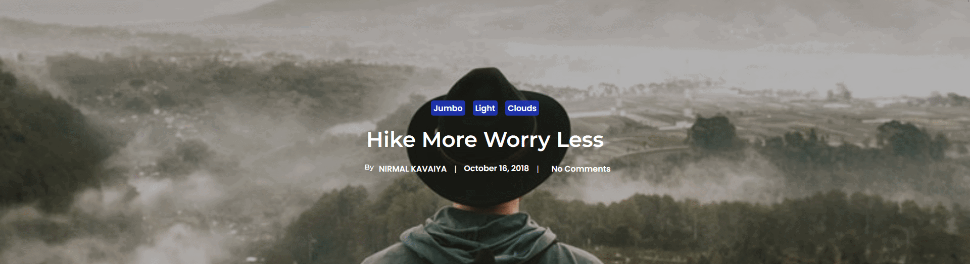 How to Show Post Image in WordPress Blog Post?