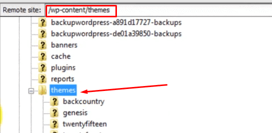 How to Install WordPress Theme [Beginners Guide]