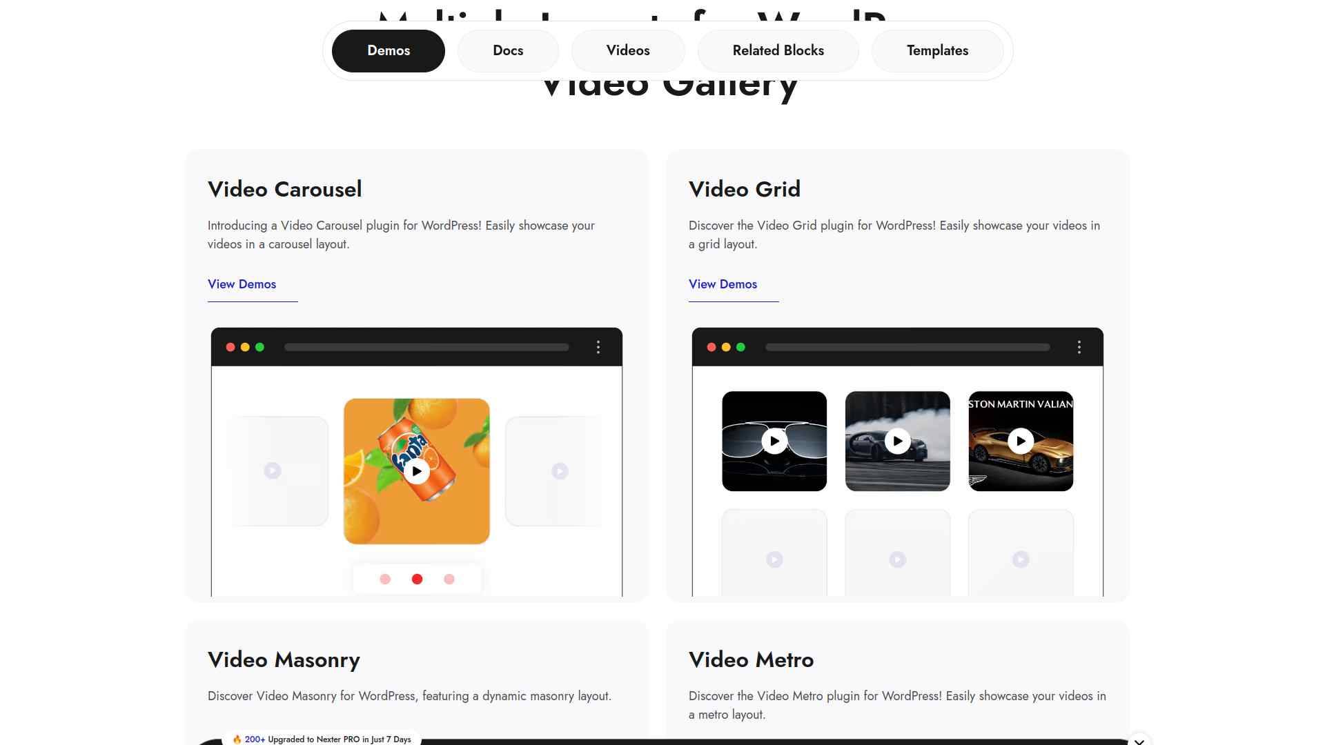 Live demo of the Video Gallery by Nexter block